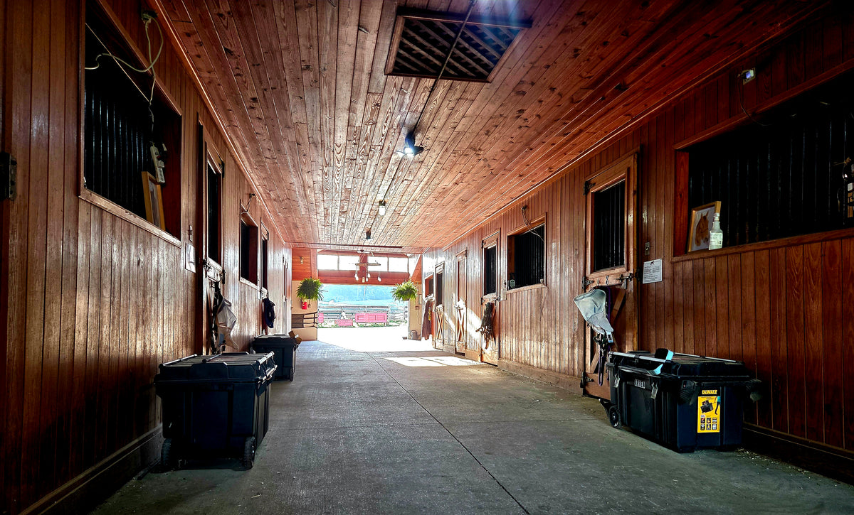 31 Stables Equine Services – Triple Star Stables