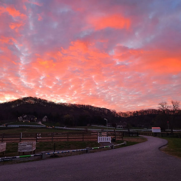 Mornings on the Farm